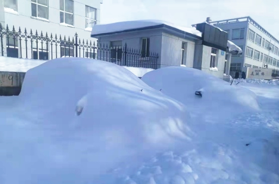 1645062495594558.jpg 211109 - 暴雪后的bevictor伟德工厂门口_副本.jpg